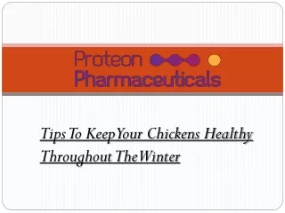tips to keep your chickens healthy throughout