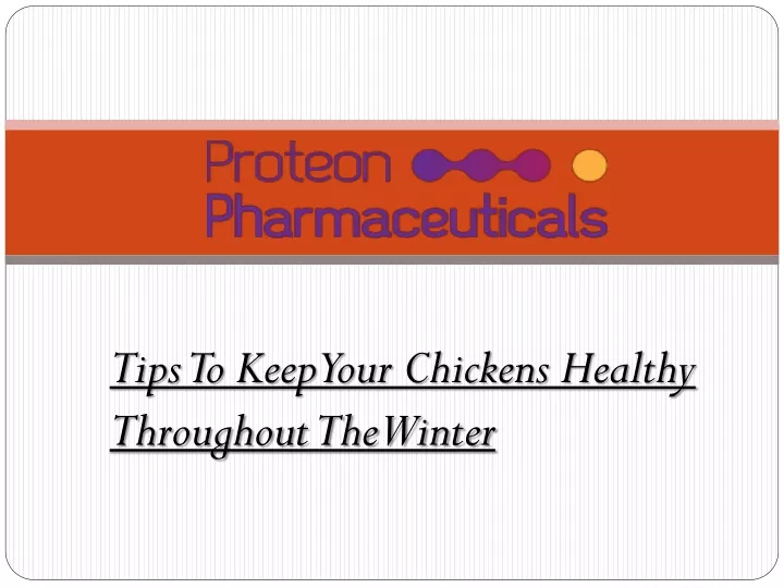 tips to keep your chickens healthy throughout