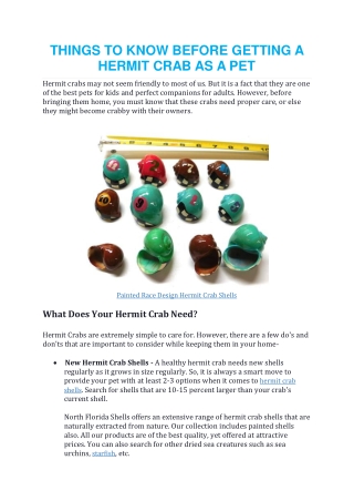 things to know before getting a hermit crab