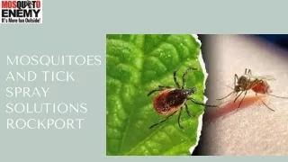 Mosquitoes and Tick Spray Solutions Rockport