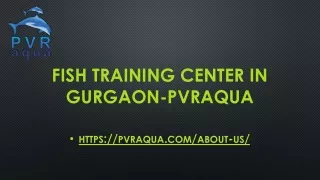 fish training center in gurgaon pvraqua