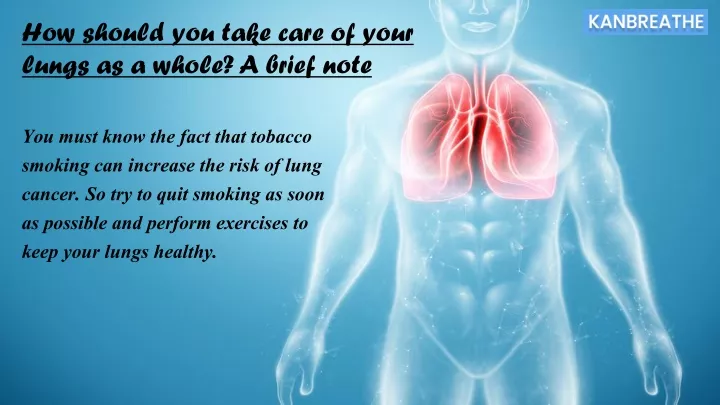 how should you take care of your lungs as a whole