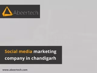 Social media marketing company in Chandigarh