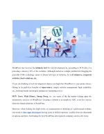 Hiring a WordPress Development Company - slide 1