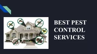 Best Pest Control Services In Gurgaon, Delhi NCR