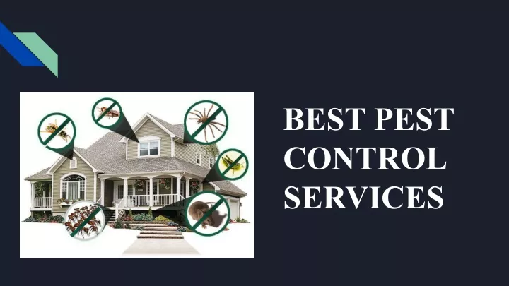 best pest control services