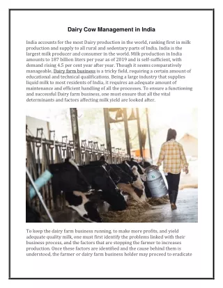 dairy cow management in india