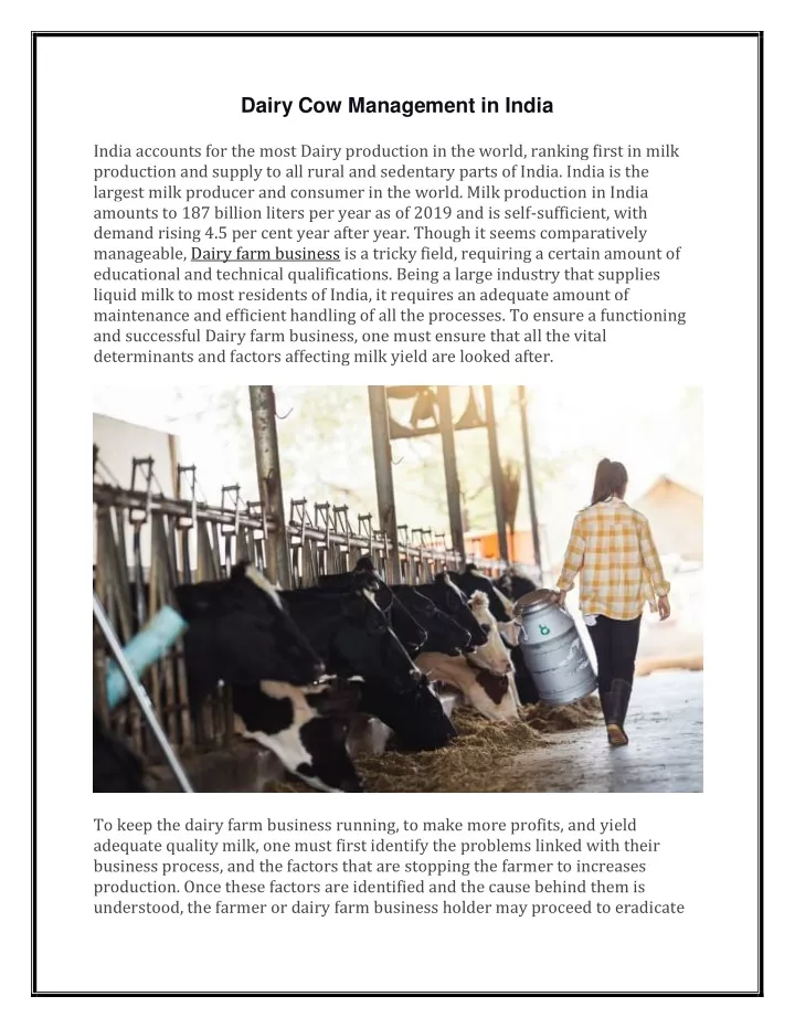 dairy cow management in india