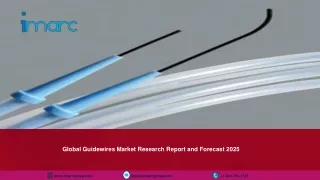 global guidewires market research report