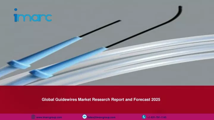 global guidewires market research report