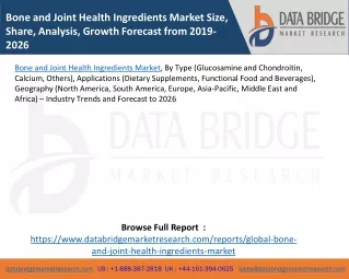 bone and joint health ingredients market size