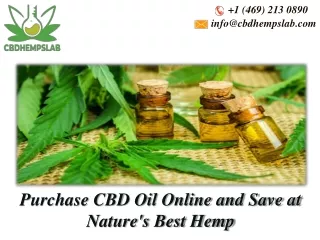 Searching For the Best Price to Buy CBD Oil?