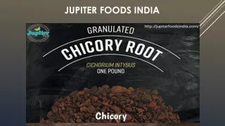 Instant chicory powder is one such solution to their fitness of the body metabolism