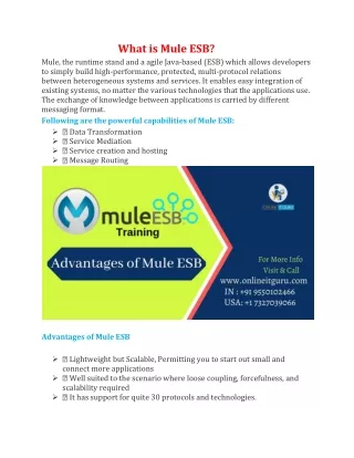 What is Mule ESB?