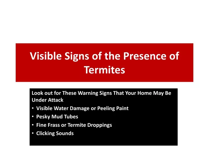 visible signs of the presence of termites