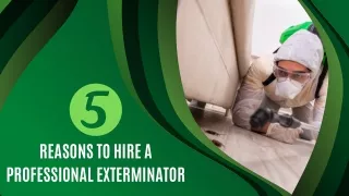 5 Reasons to Hire a Professional Exterminator