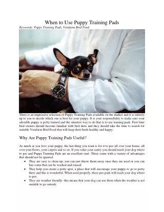 when to use puppy training pads keywords puppy