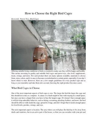 how to choose the right bird cages