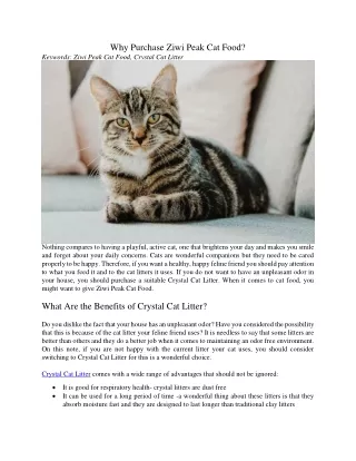 why purchase ziwi peak cat food keywords ziwi