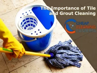 The Importance of Tile and Grout Cleaning