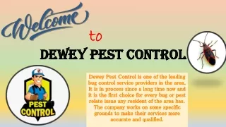 Hire Dewey Pest control to remove pests permanently