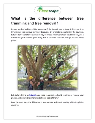What is the difference between tree trimming and tree removal?