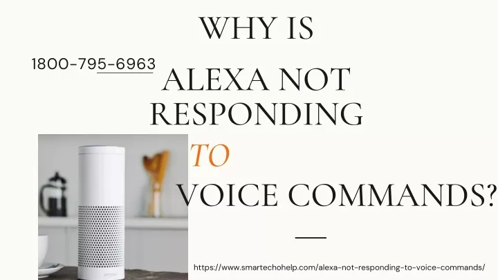why is alexa not responding