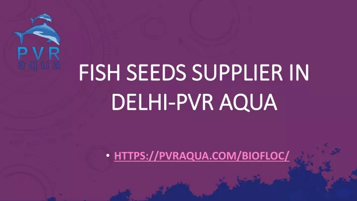 fish seeds supplier in fish seeds supplier