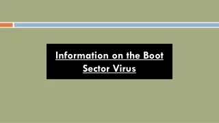 information on the boot sector virus