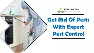 Get Rid Of Pests With Expert Pest Control - Pest Control Berwick