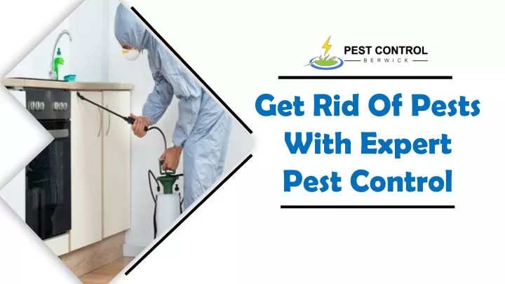 get rid of pests with expert pest control