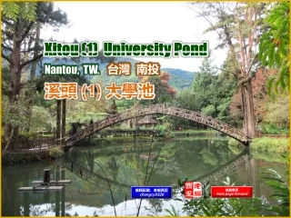 xitou 1 university pond nantou tw