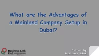 Advantages of a Mainland Company Setup in Dubai