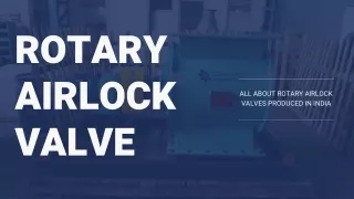 rotary airlock valve