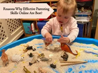 Reasons Why Effective Parenting Skills Online Are Best