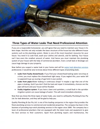 Three Types of Water Leaks That Need Professional Attention