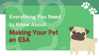 Everything You Need To Know About Making Your Pet An ESA