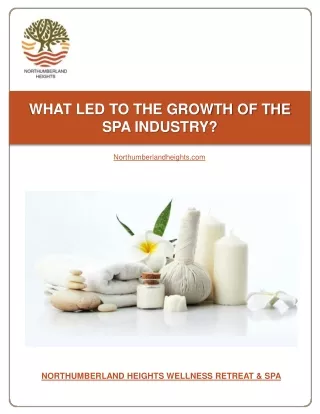 What Led to the Growth of the Spa Industry?