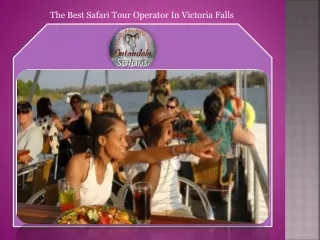 The Best Safari Tour Operator In Victoria Falls