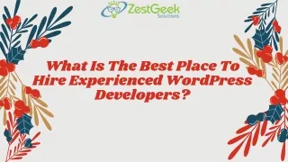 What Is The Best Place To Hire Experienced WordPress Developers?