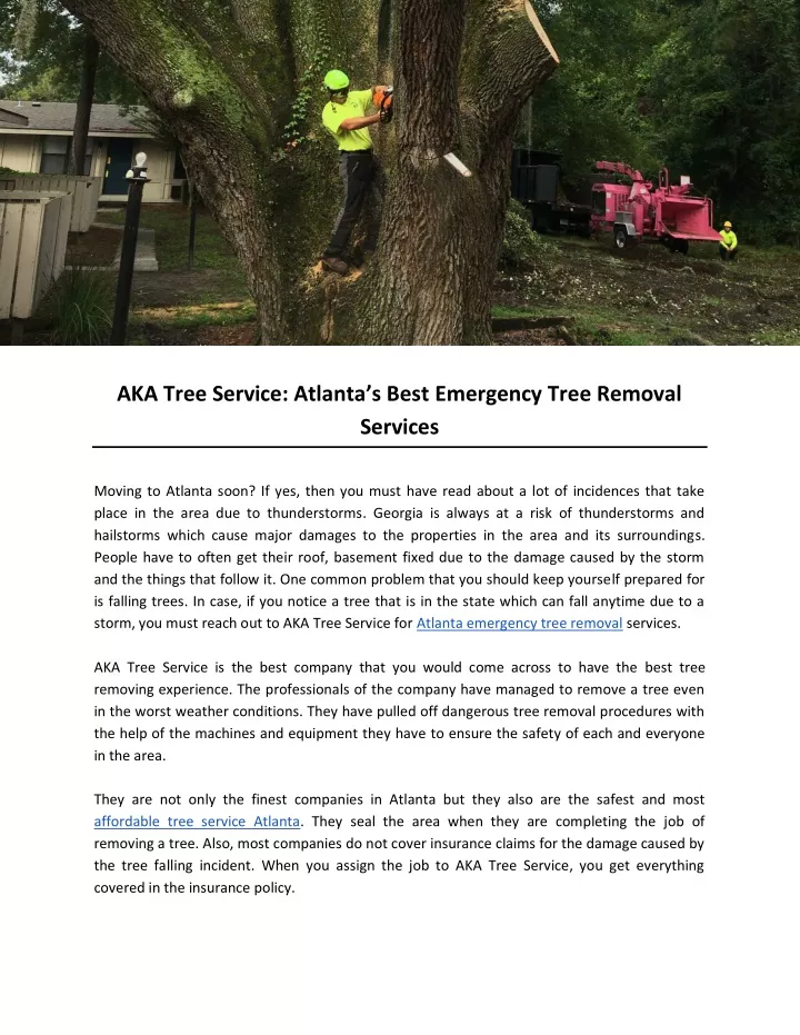 aka tree service atlanta s best emergency tree