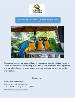 Parrots for Sale Texas | Hansenparrots.com
