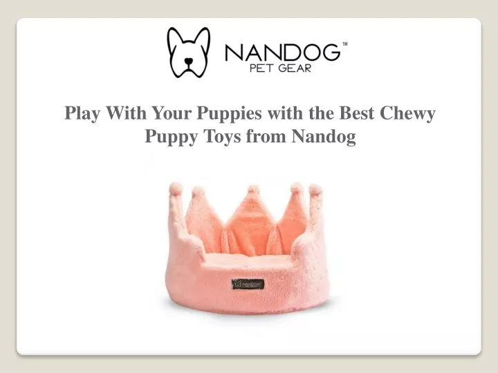 play with your puppies with the best chewy puppy