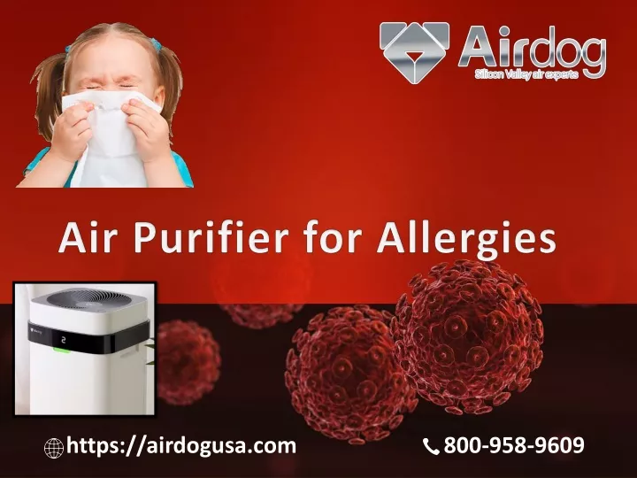 air purifier for allergies