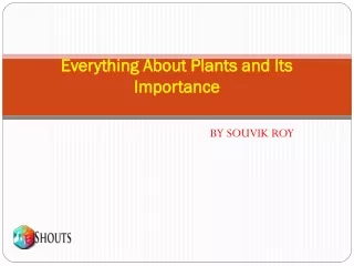 Everything About Plants and Its Importance