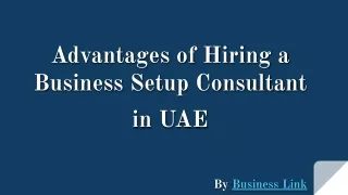 Advantages of Hiring a Business Setup Consultant in UAE