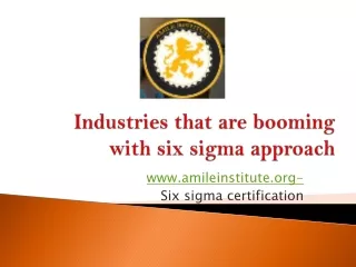 industries that are booming with six sigma approach