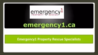 Construction Service - emergency 1 Property Rescue