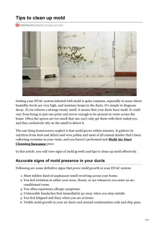 Tips to clean up mold