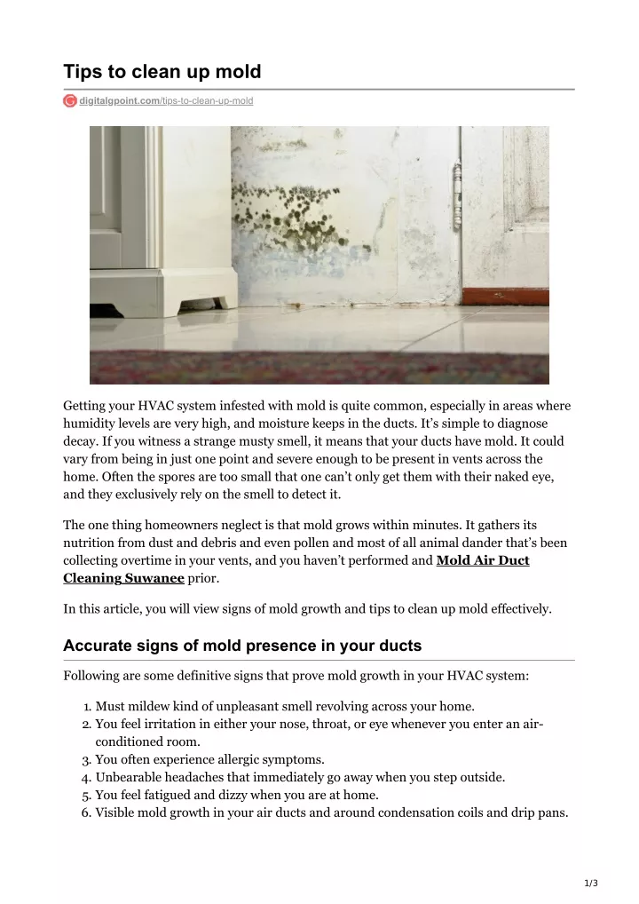 tips to clean up mold